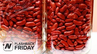 Flashback Friday: Which Type of Protein Is Better for Our Kidneys?