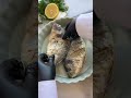 baked sea bream recipe spiced seafood sensation