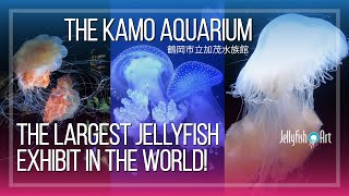 JAPAN'S KAMO AQUARIUM HAS THE LARGEST JELLYFISH EXHIBIT GLOBALLY, AND JELLYFISH ART IS ALL FOR IT!