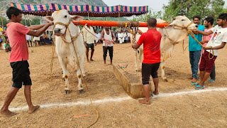 కొణిదెన నాలుగుపళ్ళ 3 జత జొన్నలగడ్డ దేవతాతారావు గారు తెంపల్లి గ్రామం గన్నవరం మండలం