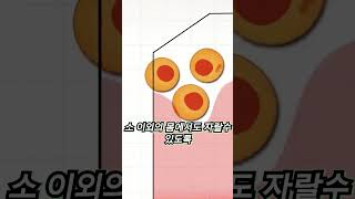 3D 프린터로 만든 고기의 비밀