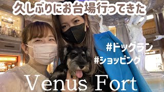 【お台場】家族3人でヴィーナスフォート行ったら充実すぎた♡【愛犬】♡#087