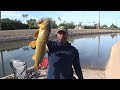 REEL FISHING ARIZONA