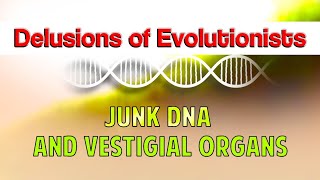 Delusions of Evolutionists: Junk DNA and Vestigial Organs