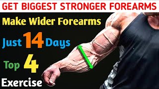 FOREARM WORKOUT ( TOP 4 MOST EFFECTIVE EXERCISE ) You Must Try