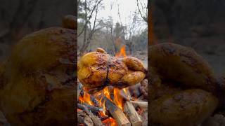 Roasted Whole Chicken in Nature 🐔