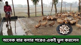 01982056392 যে কারণে আপনার খামার ধ্বংস হতে পারে | হাঁসের খাবার | ডিম পাড়া হাঁসের খাবার |