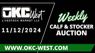 11/12/2024 - Calf \u0026 Stocker Auction - OKC West