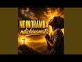 Ndinoramba ndichinamata