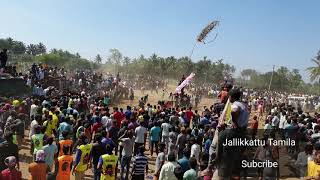 Varadhapuram Jallikkattu videos 2020 -  వరదాపురం జల్లిక్కట్టు - வரதாபுரம் ஜல்லிக்கட்டு!!!