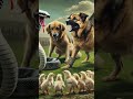 heroic dogs save chicks from a dangerous snake in the farm. minutestories epicshowdown