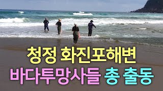 #화진포해변바다투망달인들#메탈배스투망낚시#SBS생활의달인바다투망달인/염선모/권준성/토깽이부부cast nets fishing, เหวี่ยงแหจับปลา [2020.10.10]