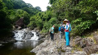 閒遊大城石澗中段.  菠蘿壩起步, 往龍泉谷入澗, 經虎蹤徑回至起步點.  Hike Tai Shing Stream, via Dragon Valley, and Tiger Path.