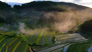 ③大垪和西（岡山県久米郡美咲町）の棚田に映える夕陽！