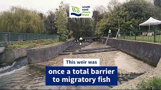 Baffle fish pass, Darent