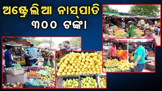 ଅଷ୍ଟ୍ରେଲିଆ ନାସ୍‌ପାତି 300 ଟଙ୍କା| Odisha Reporter