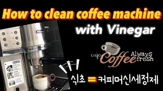 드롱기 커피머신청소 천연 세정제 식초 활용법 How to Clean Delonghi Coffee Machine with Vinegar