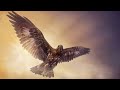 Under Your Wings - Psalm 91 - Original Christian Bible Music