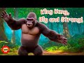 King Kong, Big and Strong! #kidsongs #KidsLearning #EducationalVideos #FunLearning #KidsActivities