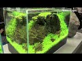 aquascaping planted aquariums of aqua design amano deutschland heimtiermesse 2013 hannover