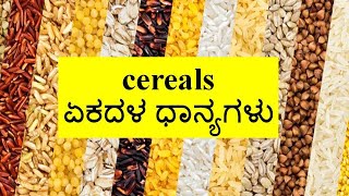 Cereals Learn in Kannada | Agriculture \u0026 Veterinary Practical Exam Specimens | KCET Practical Exam |