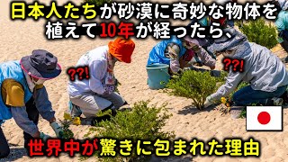 日本人たちが砂漠に奇妙な物体を植えた10年後・・・世界中が驚きに包まれた理由