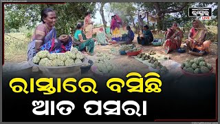 ରାସ୍ତାରେ କଡରେ ମେଲିଛି   ଆତ ପସରା.... ବିକ୍ରୀ କରି ବଞ୍ଚିବାର ରାହା ପାଉଛନ୍ତି ଆଦିବାସୀ...