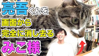 【DaiGo\u0026猫】松丸亮吾を完全に画面から消し去るみこ様 亮吾「み・こ・さ・まー！」【切り抜き】