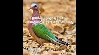 ( Part 15 )   புறா காயம் {புன்} சரியாக (தமிழ் |Tamil)