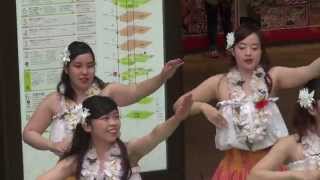 共立女子大フラダンスサークル　2015　荻窪ハワイアンフェスティバル2015　3/4