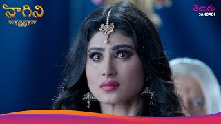 Naagini S1 | నాగిని S1 | Where Did Yamini Hide Sangram? | యామిని సంగ్రామ్ ను ఎక్కడ దాచింది?