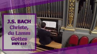 J.S. Bach - Christe, du Lamm Gottes (BWV 619) - Ben Bloor