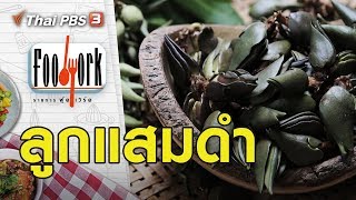 ลูกแสมดำ : Foodwork [CC] (17 พ.ย. 62)