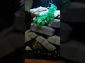 Red Blood Parrot Cichlids Grouping and Hiding