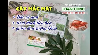 Cây Mắc Mật - Công dụng của cây mắc mật
