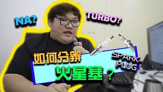 TURBO VS NA 哪一种才是你需要用到的Spark Plug？|Brisk|WhelanChoy