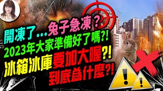 林海陽 2023年房市泡沫斷頭危機巳到.？！斷崖式降溫，恐有亂流突襲.！