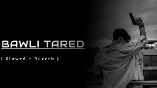 Bawli Tared ( Slowed + Reverb ): Sumit Goswami #viral #music #trending #attitude