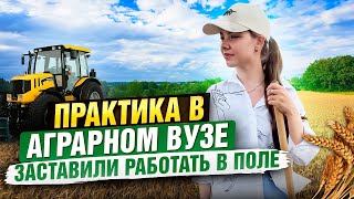 моя первая практика | будни студента-агрохимика 🌱