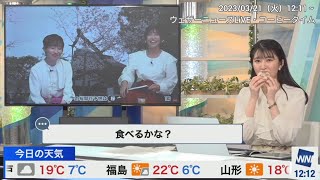 【駒木結衣】先輩キャスターが団子を食べているのを見て本線で『もぐゆい』を始める結衣ちゃん🐨（23/03/21 12:11～）【ウェザーニュースLiVE】