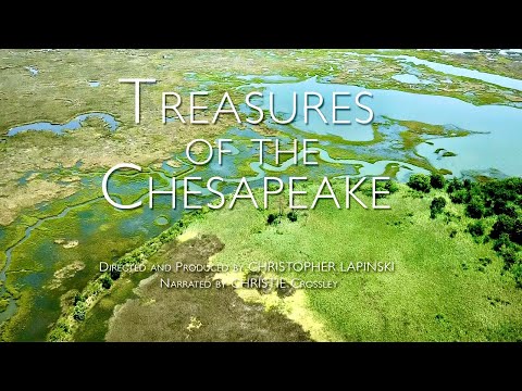 Treasures of the Chesapeake