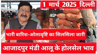 March 1, 2025 दिल्ली आजादपुर🥔 आलू के भाव Azadpur Delhi mandi today Potato।भारी बारिश से आलू बर्बाद