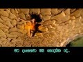 ENIGMA  ►   Gravity  Of  Love  1080p Full  HD  Video  Song  With  Sinhala  Translation....