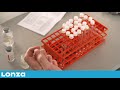 how to perform the pyrogent™ gel clot lal assay