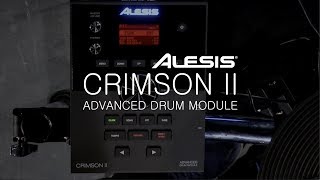 ALESIS drums - CRIMSON II ADVANCED DRUM MODULE - TIM ROOT Demo ! (Vidéo La Boite Noire)