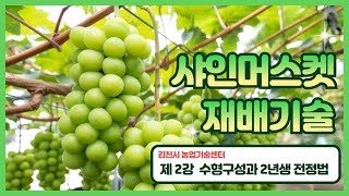 샤인머스켓 재배기술 교육, 믿고 따라오세요(2강)