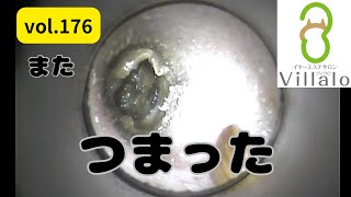 【倍速推奨】耳掃除 vol.176「またつまった」(ear wax removal)イヤーエステサロンVillalo～ヴィラロ～