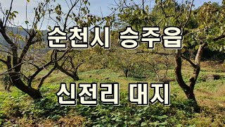 부동산경매 - 전남 순천시 승주읍 신전리 대지