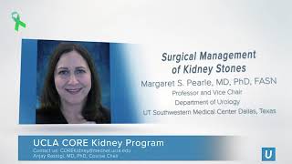 Surgical Management of Kidney Stones | UCLA CORE Kidney Symposium 2020 | Anjay Rastogi, MD PhD