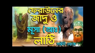 ফেরাউনের জাদু ও মূসা (আঃ) লাঠি | দেলোয়ার হোসেন সাঈদী ওয়াজ  | মুসা নবীর  মুজিজা